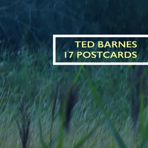 17 postcards